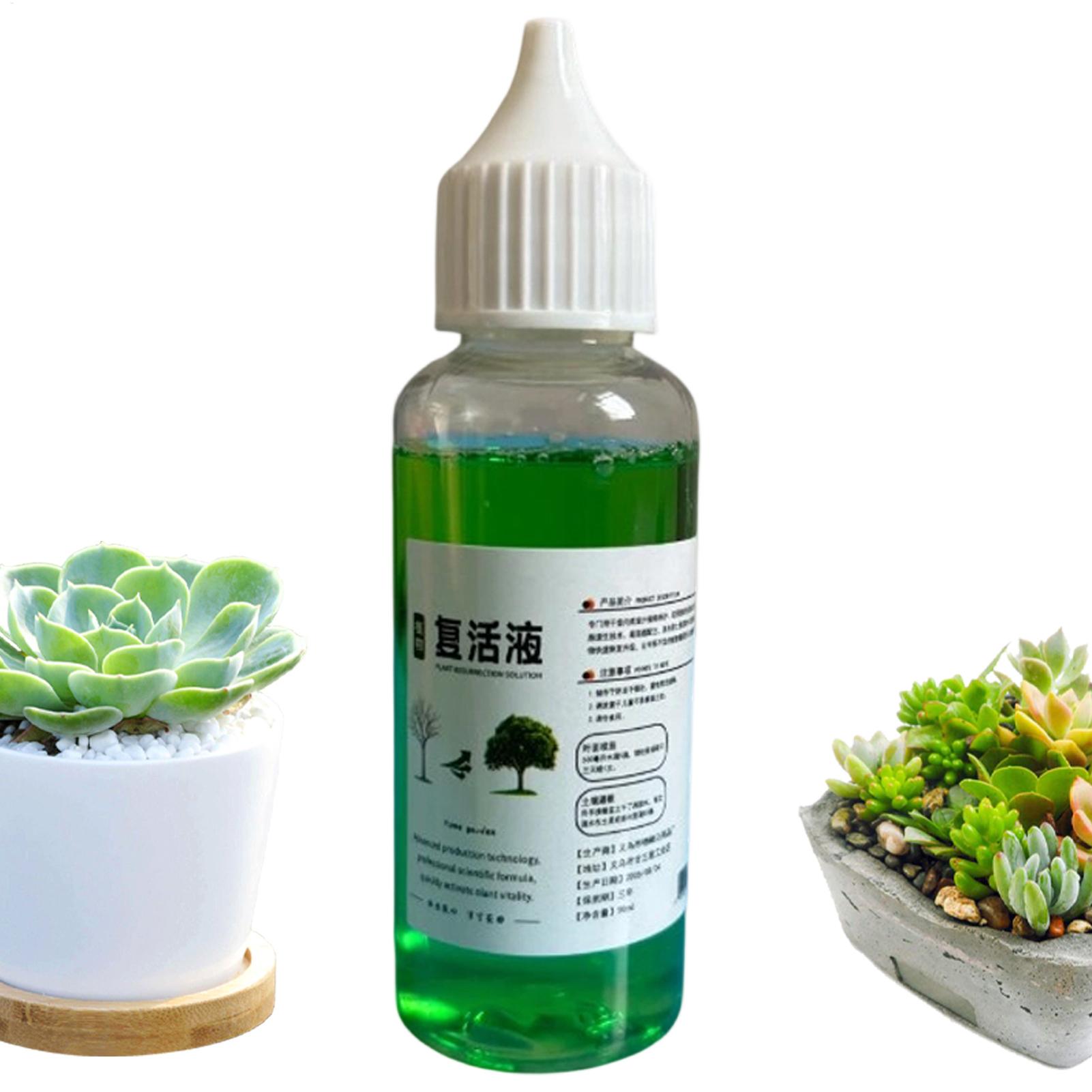 Root Stimulator Liquid - สารกระตุ้นรากสำหรับพืช สารเร่งรากชนิดน้ำ 50 มล. สารละลายปุ๋ยหมักจากดินธรรมชาติ ออร์แกนิก