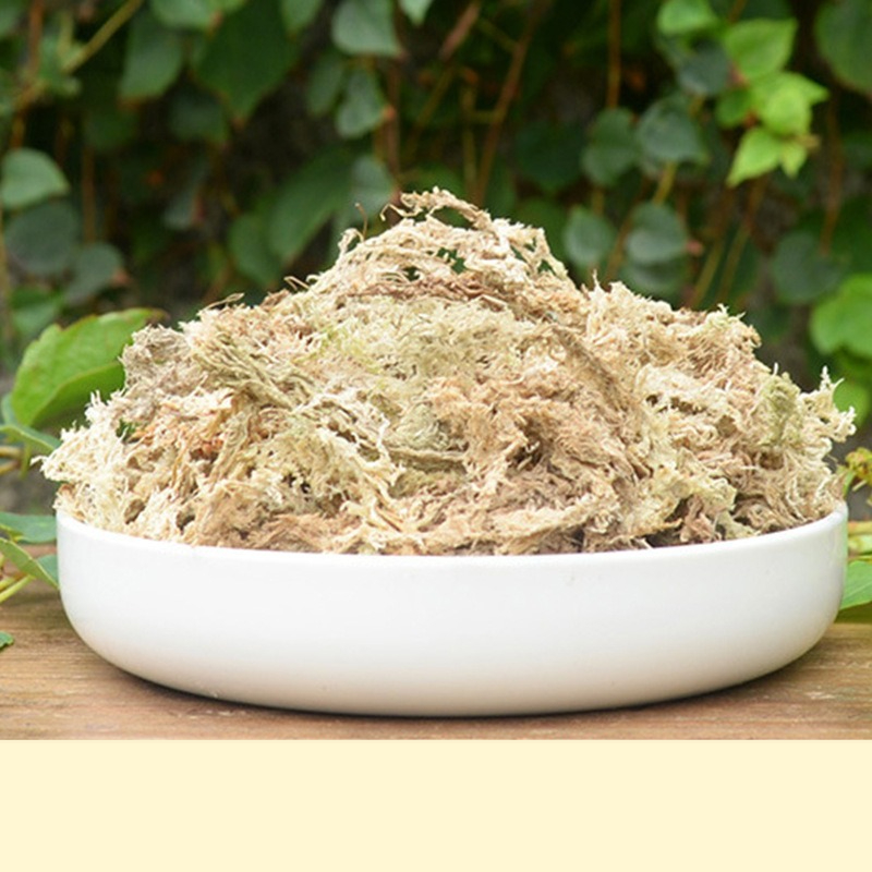 Sphagnum Moss Dry - วัสดุปลูกกล้วยไม้สำหรับตู้เลี้ยงสัตว์เลื้อยคลาน วัสดุรองพื้นสำหรับตู้เลี้ยงเต่า วัสดุตกแต่งธรรมชาติสำหรับจัดสวนและปูพื้น