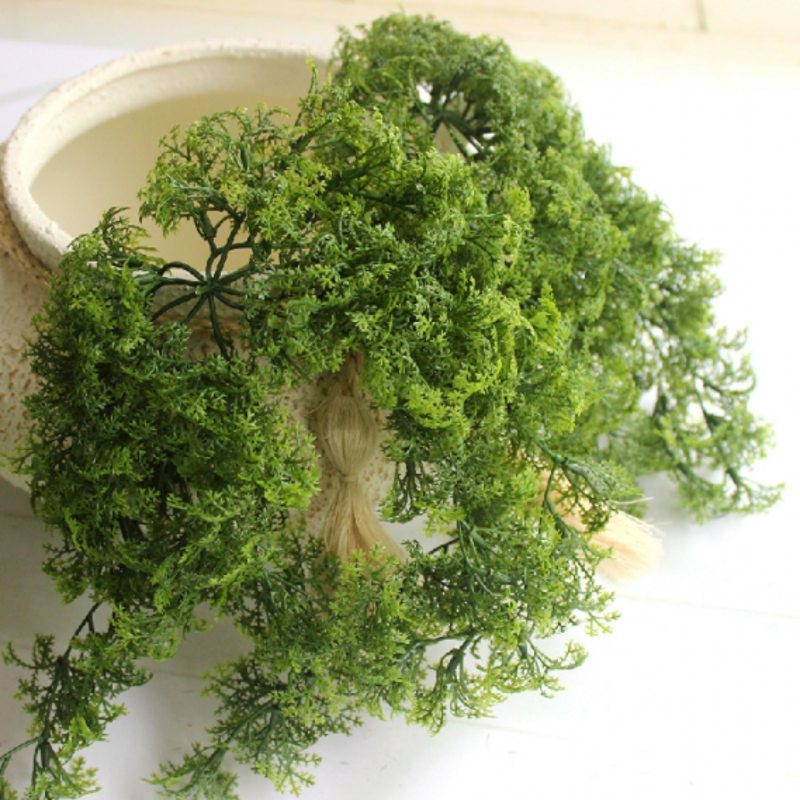 8 - 10 สาขาพลาสติกประดิษฐ์ MOS - Sphagnum Moss Dry บทวิจารณ์และราคา