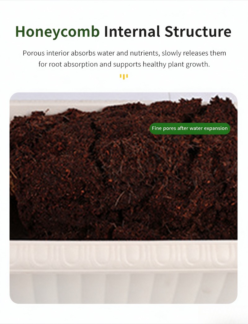 วัสดุปูรองนอนสำหรับสัตว์เลื้อย - Sphagnum Moss Dry บทวิจารณ์และราคา