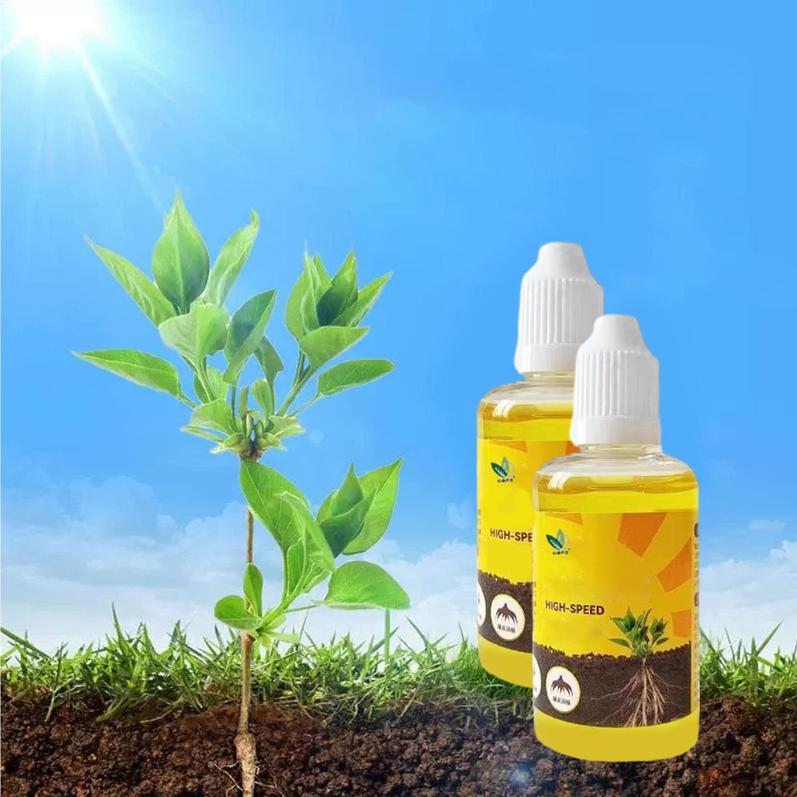 น้ำยากระตุ้นการแตกรากของพืช 50 - Root Stimulator Liquid บทวิจารณ์และราคา