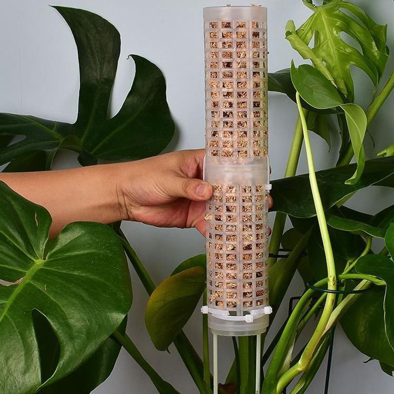 เสาไม้เลื้อยมอสส์สแฟกนัมสำหรับ - Sphagnum Moss Dry บทวิจารณ์และราคา