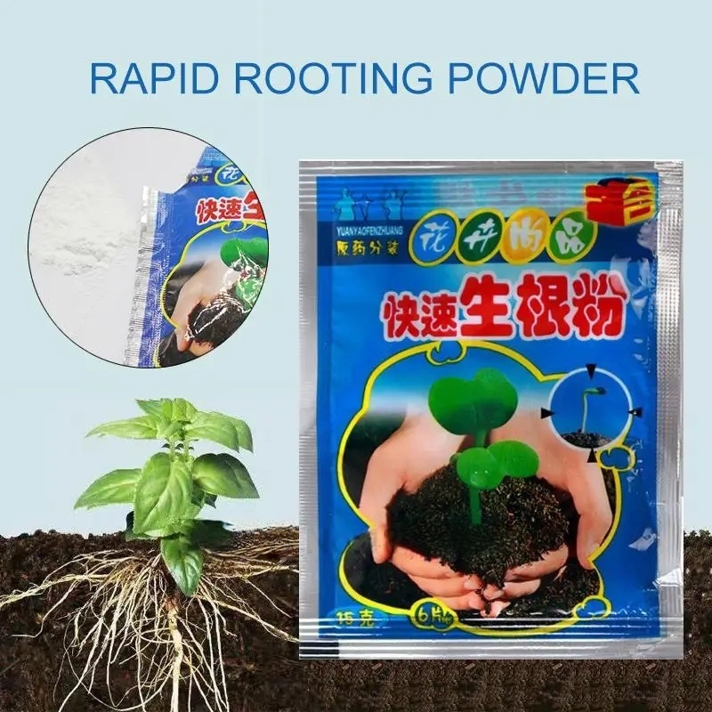 ผงเร่งราก 5 ชิ้น สารเร่งรากเร็ - Root Stimulator Liquid บทวิจารณ์และราคา